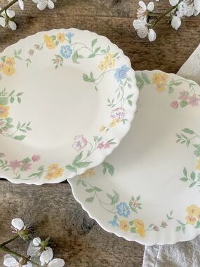 Set of 2 vintage Arcopal France Feston Hortense milk glass Salad Plates